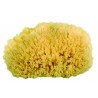 Gerby Natural Sponge